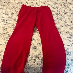 Hot pink dress pants